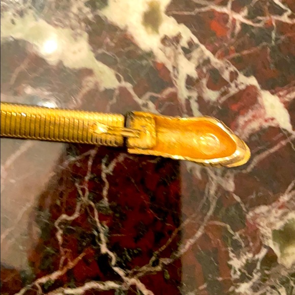 Snake belt main image 9